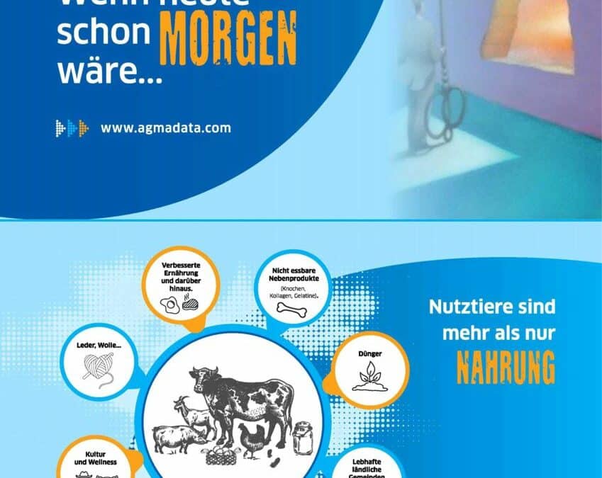 Neues Arbeitspapier für Viehvermarktungs-Organisationen erschienen
