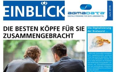 Newsletter „Einblick“ erschienen